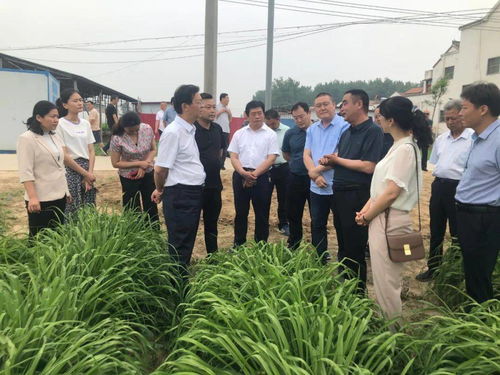 大力發展我省特色地標農產品種植加工，盡快提升產業化水平調研
